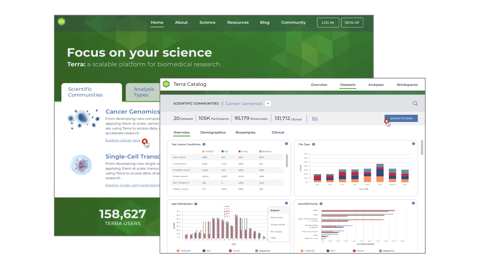 Case study visual