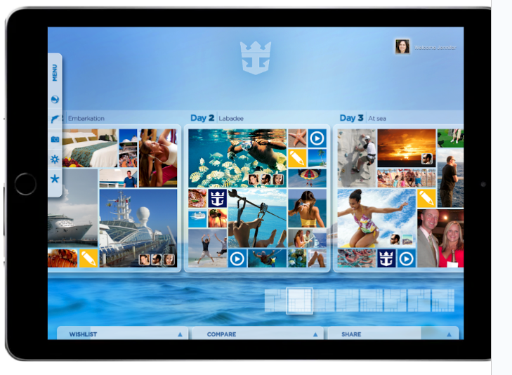 Royal Caribbean case study artifact